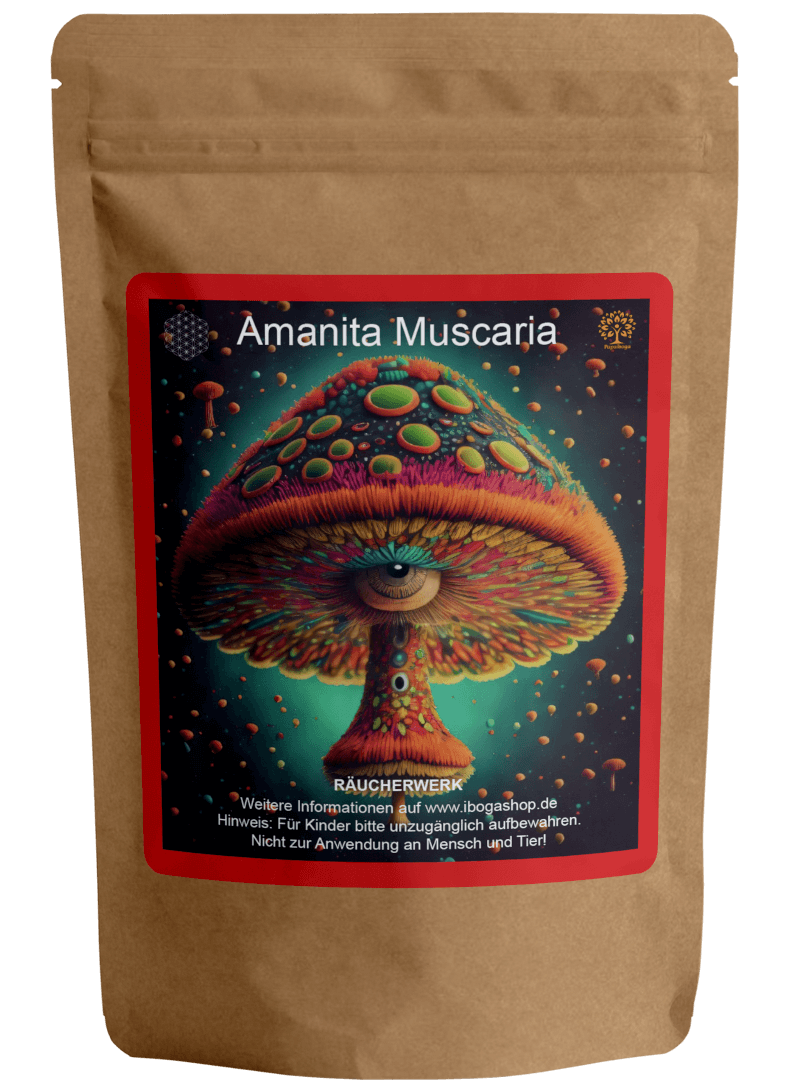 amanita muscaria fliegenpilze getrocknet kaufen